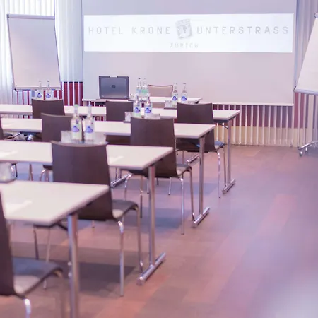 Hotel Krone Unterstrass 4*