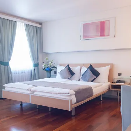 Hotel Krone Unterstrass 4*