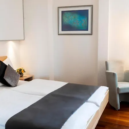 Hotel Krone Unterstrass 4*